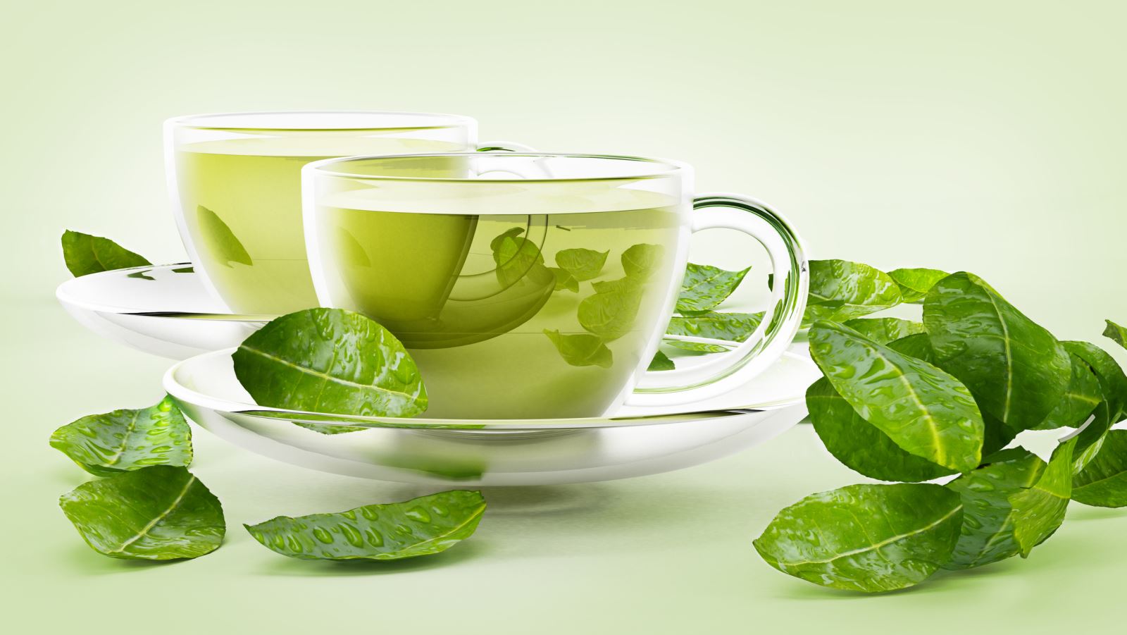 10 lợi ích tuyệt vời đến từ thức uống tốt nhất thế giới – trà xanh